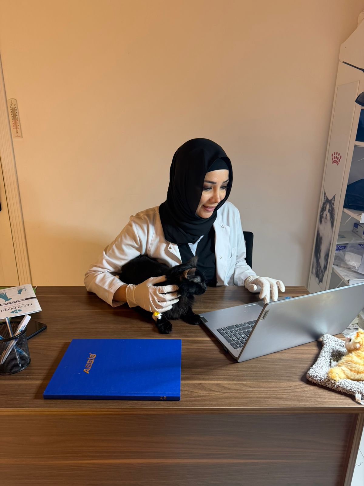 VetLife Hospital komandası