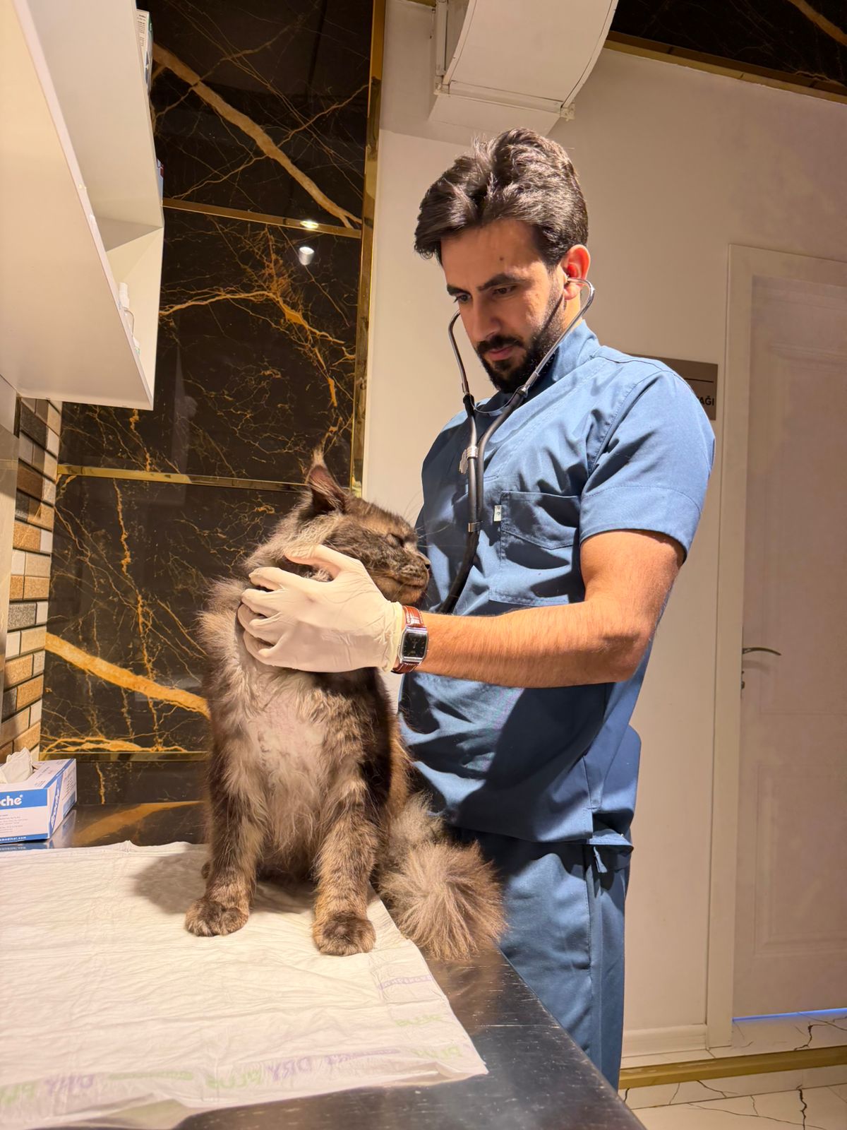 VetLife Hospital komandası